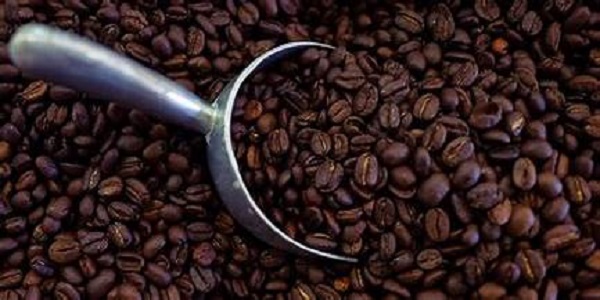 مرکز فروش دانه قهوه