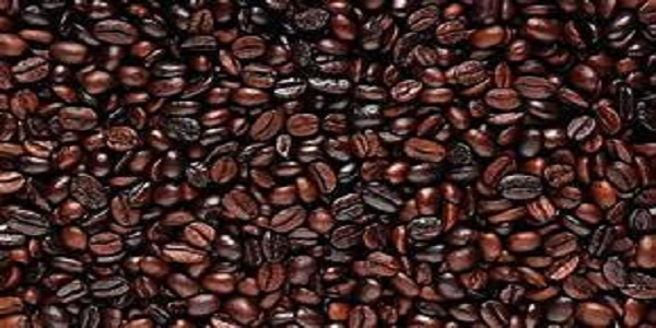 مرکز خرید دانه قهوه